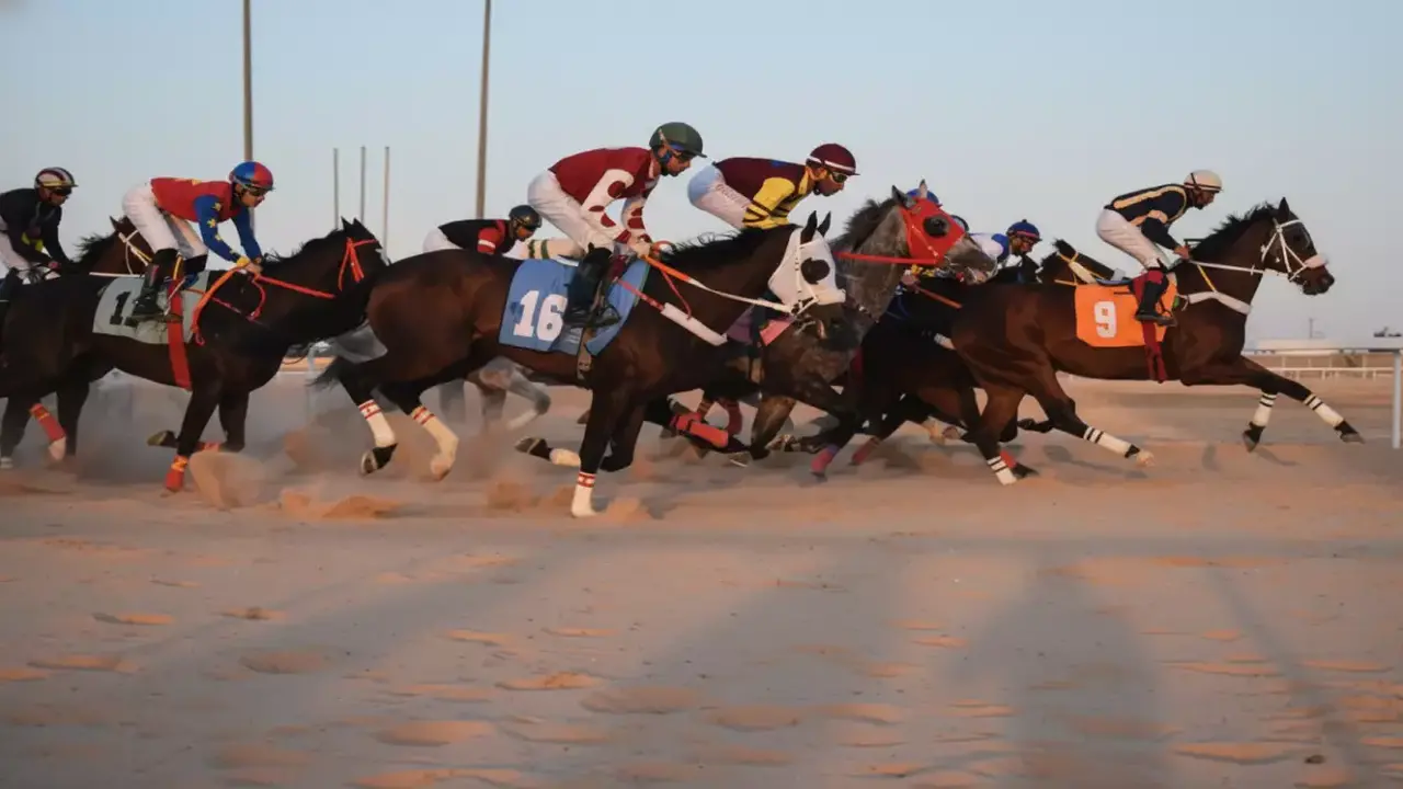 بطل الأحساء.. 9 فرسان يحصدون جوائز النسخة الـ 12 في ملحمة الفروسية الكبرى